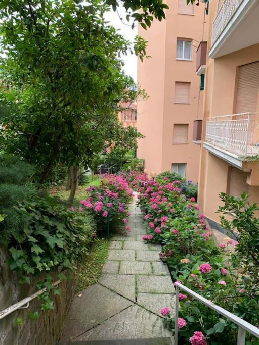 Appartamento House Il Glicine Pet Friendly Santa Margherita Ligure Esterno foto